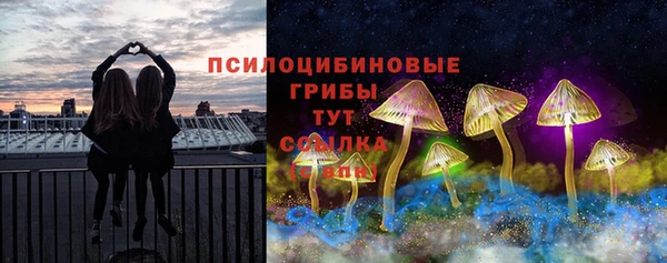 эйфоретик Протвино
