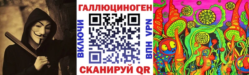 где найти Энем Галлюциногенные грибы Magic Shrooms